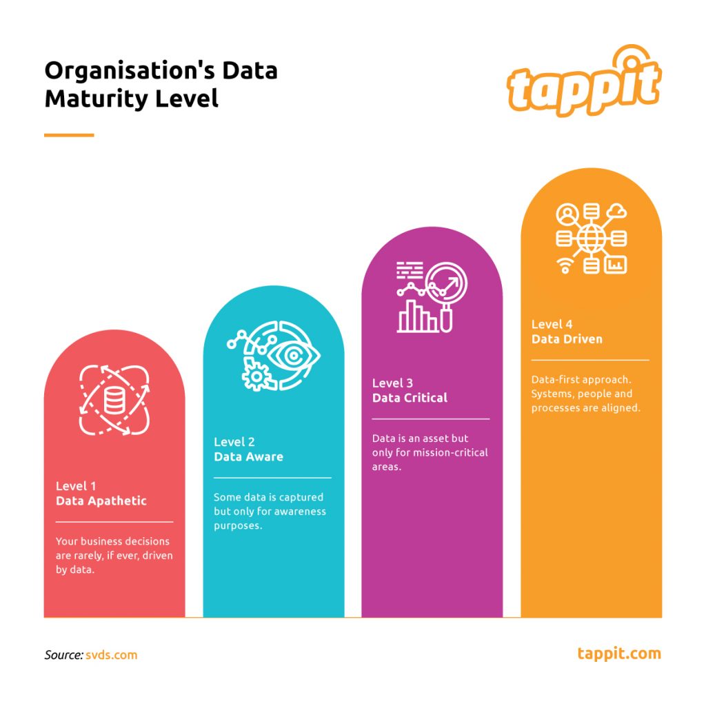 Data maturity model by SVD